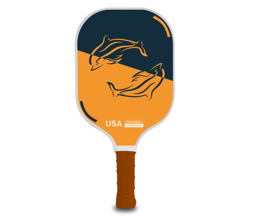 PICKLEBALL玻璃纖維匹克球雙拍套裝 配4個匹克球波