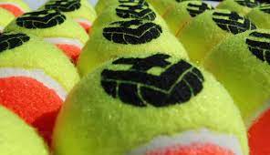 【新興運動】VX球/域士球/軟網球 - VX軟網球