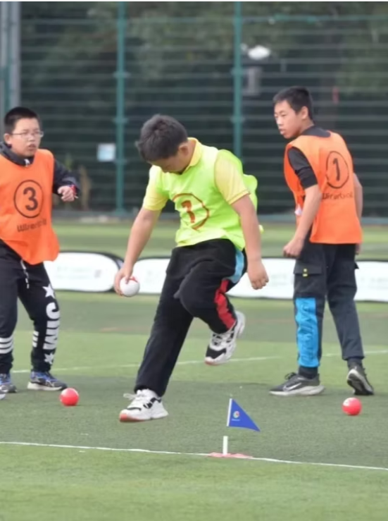 |Note: After payment, it takes about 5 working days to ship | Gao Zhier Ball Set