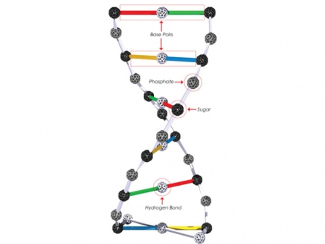 Zometool Geometric Structure Toy-DNA